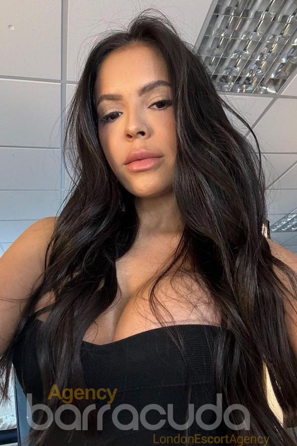 Holly, escort in London from Agency Barracuda.