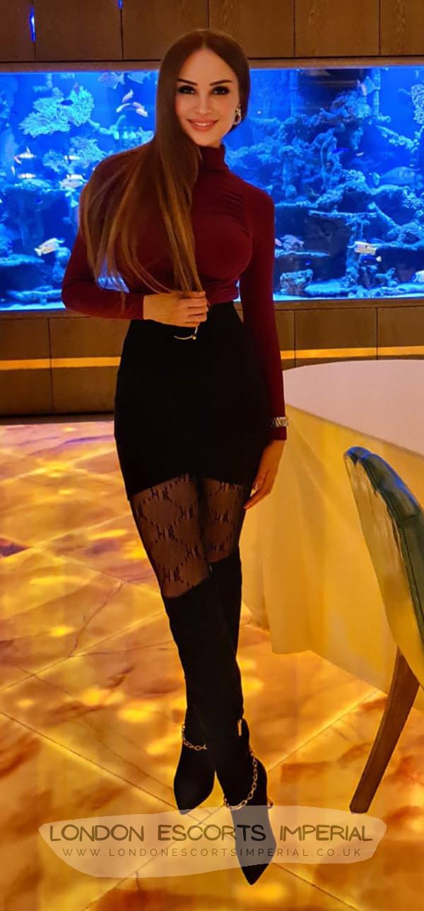 Mikel, escort in London from London Escorts Imperial.